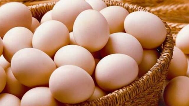 Sofralık yumurta ihracatına muafiyet düzenlemesi