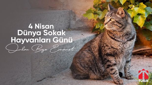 TÜGİKKONYAGİAD
