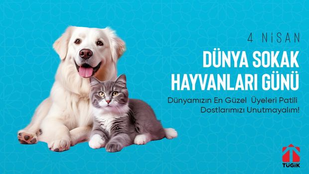 4 Nisan Dünya Sokak Hayvanları Günü Kutlu Olsun!